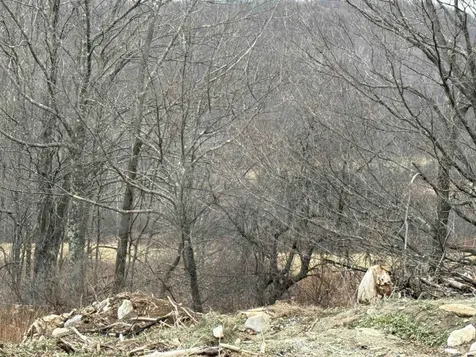 0 Suncrest Road Rupert VT 05775