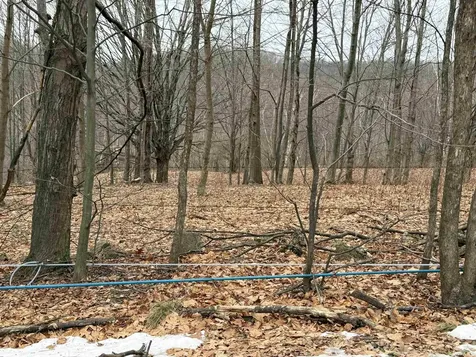 0 Suncrest Road Rupert VT 05775