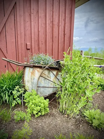 94 Mandi Lane Bristol NH 03222