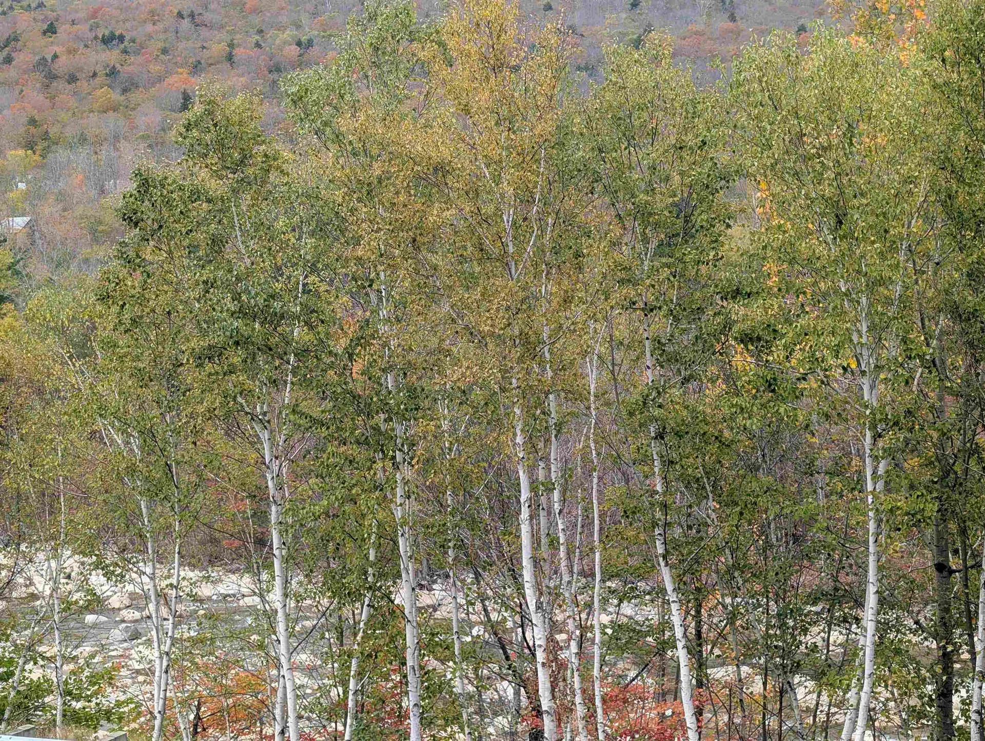 90 Loon Mountain Road Lincoln NH 03251