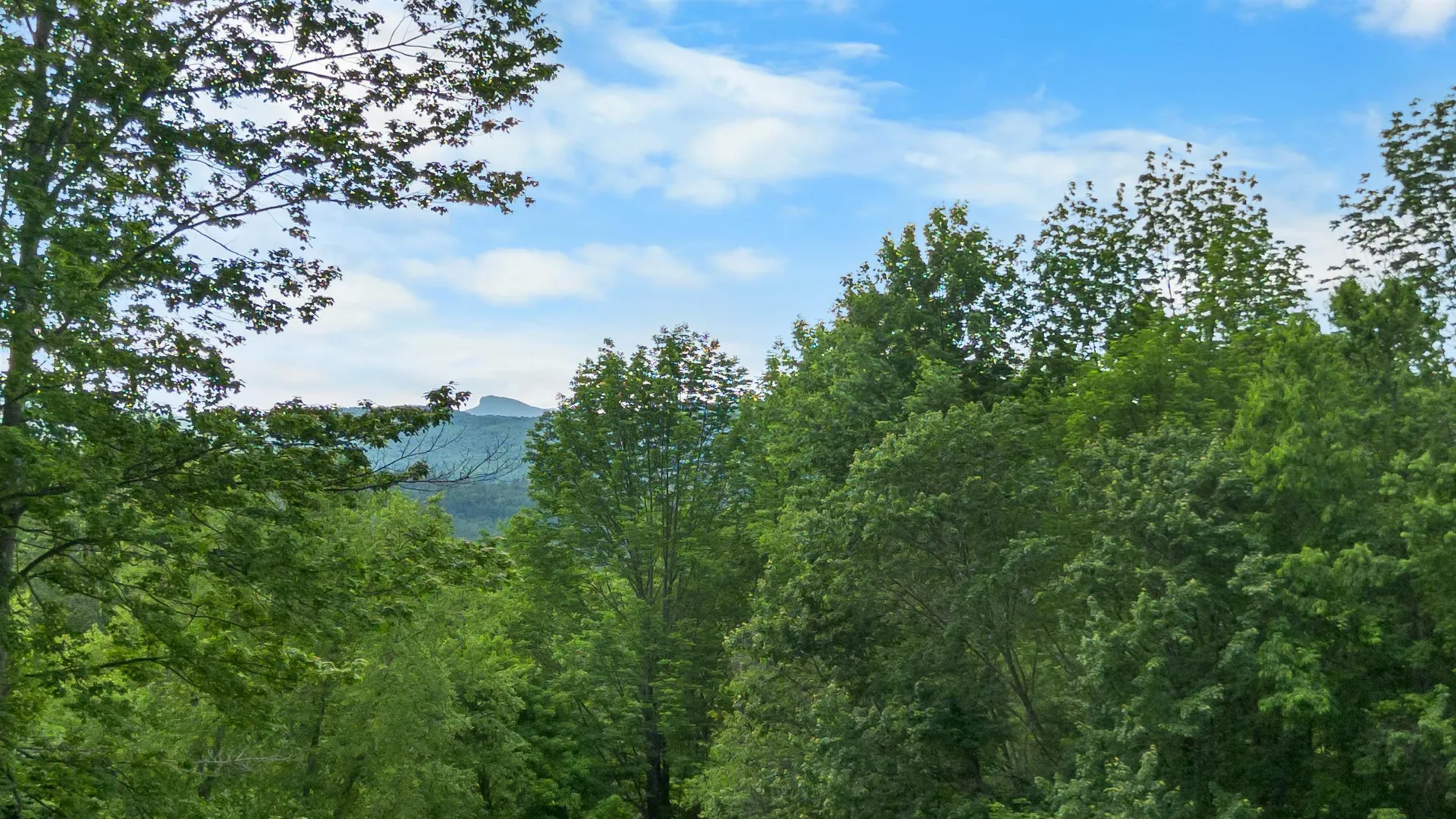 1397 Cobb Hill Road Moretown VT 05660