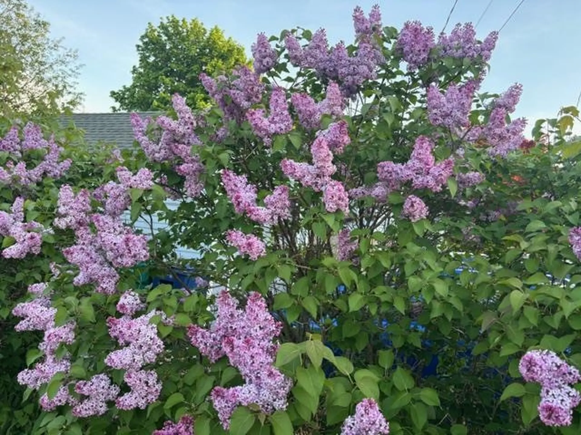 6 Rice Terrace Hampton NH 03842