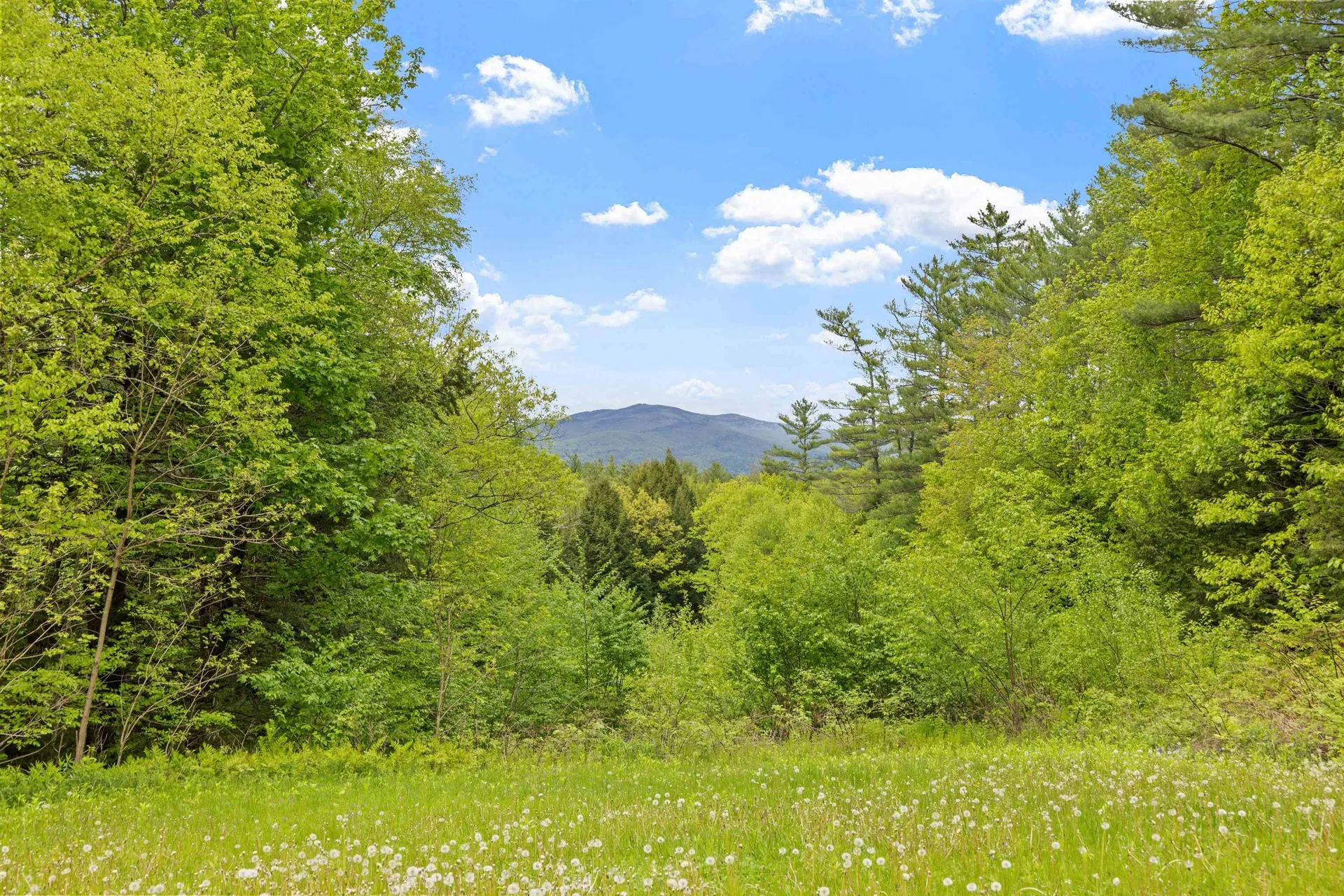 154 Bell Road Plymouth NH 03264