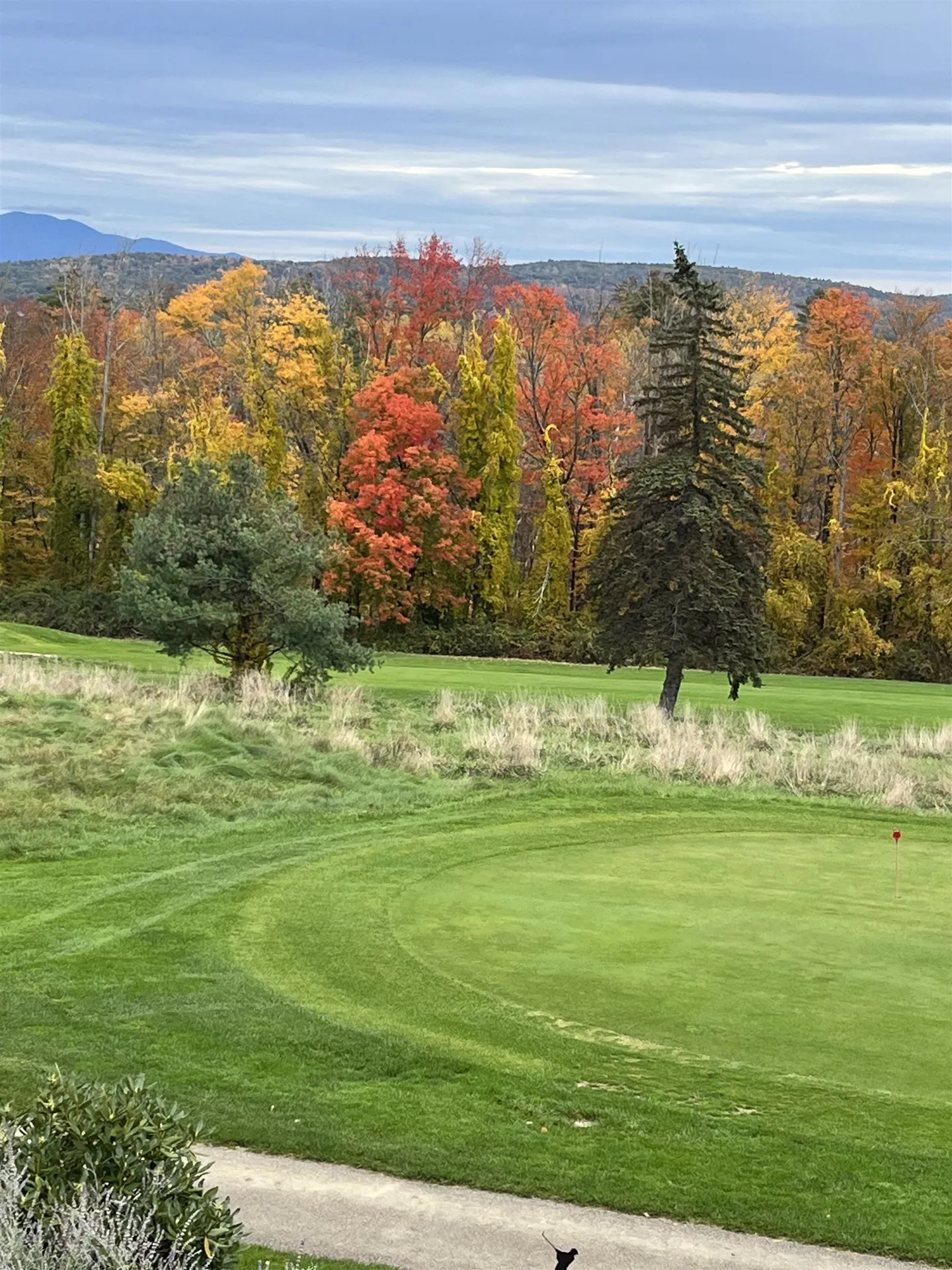 103 Ladd Hill Road Belmont NH 03220