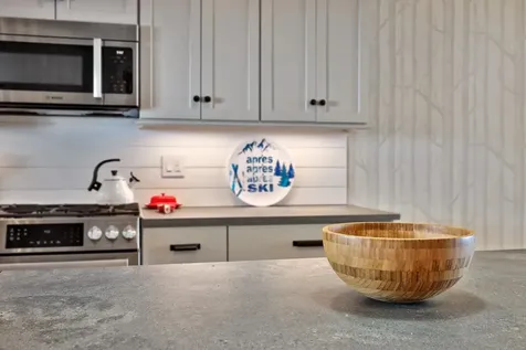 133 Okemo Trailside Extension Ludlow VT 05149