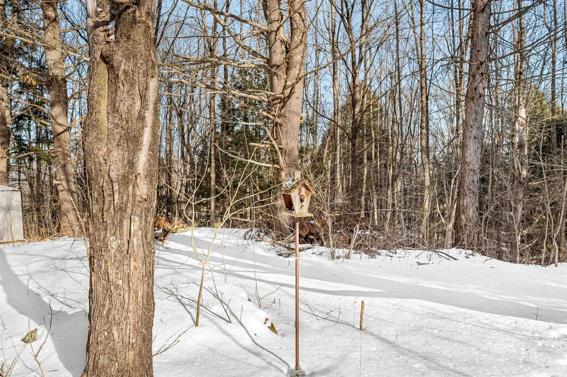 1718 Paine Turnpike Berlin VT 05602