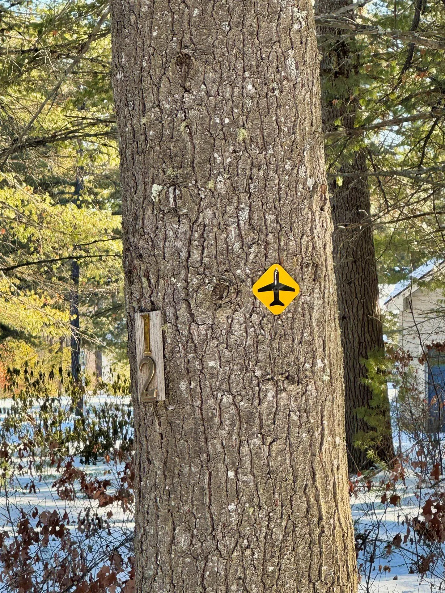 12 Logan Way Ossipee NH 03890