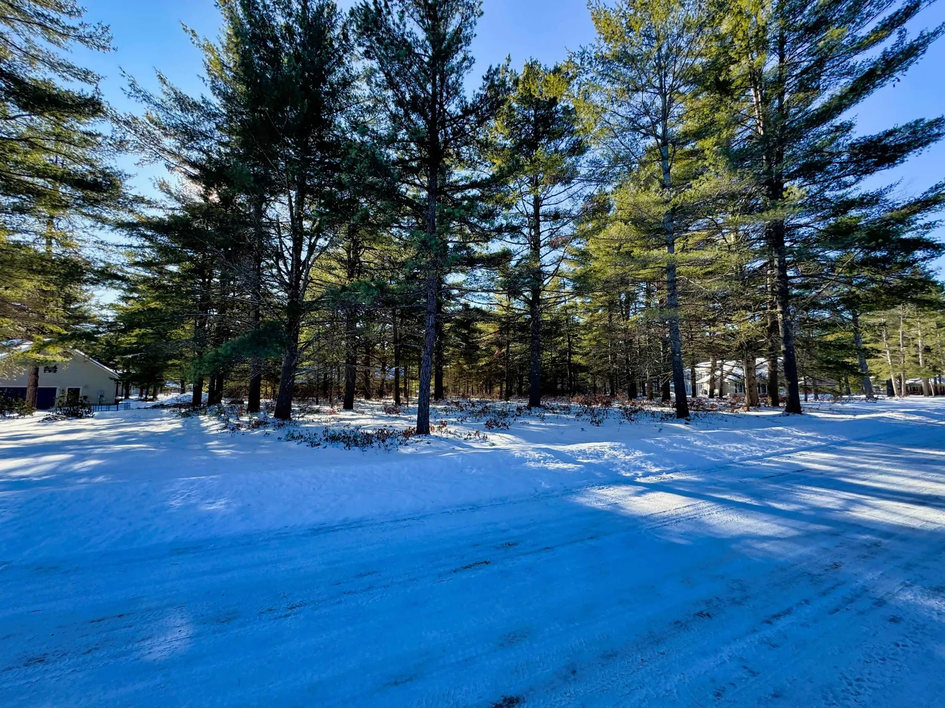 12 Logan Way Ossipee NH 03890
