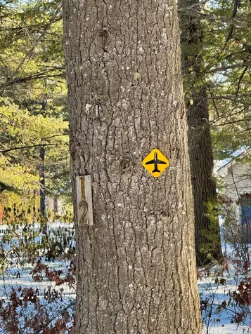 12 Logan Way Ossipee NH 03890