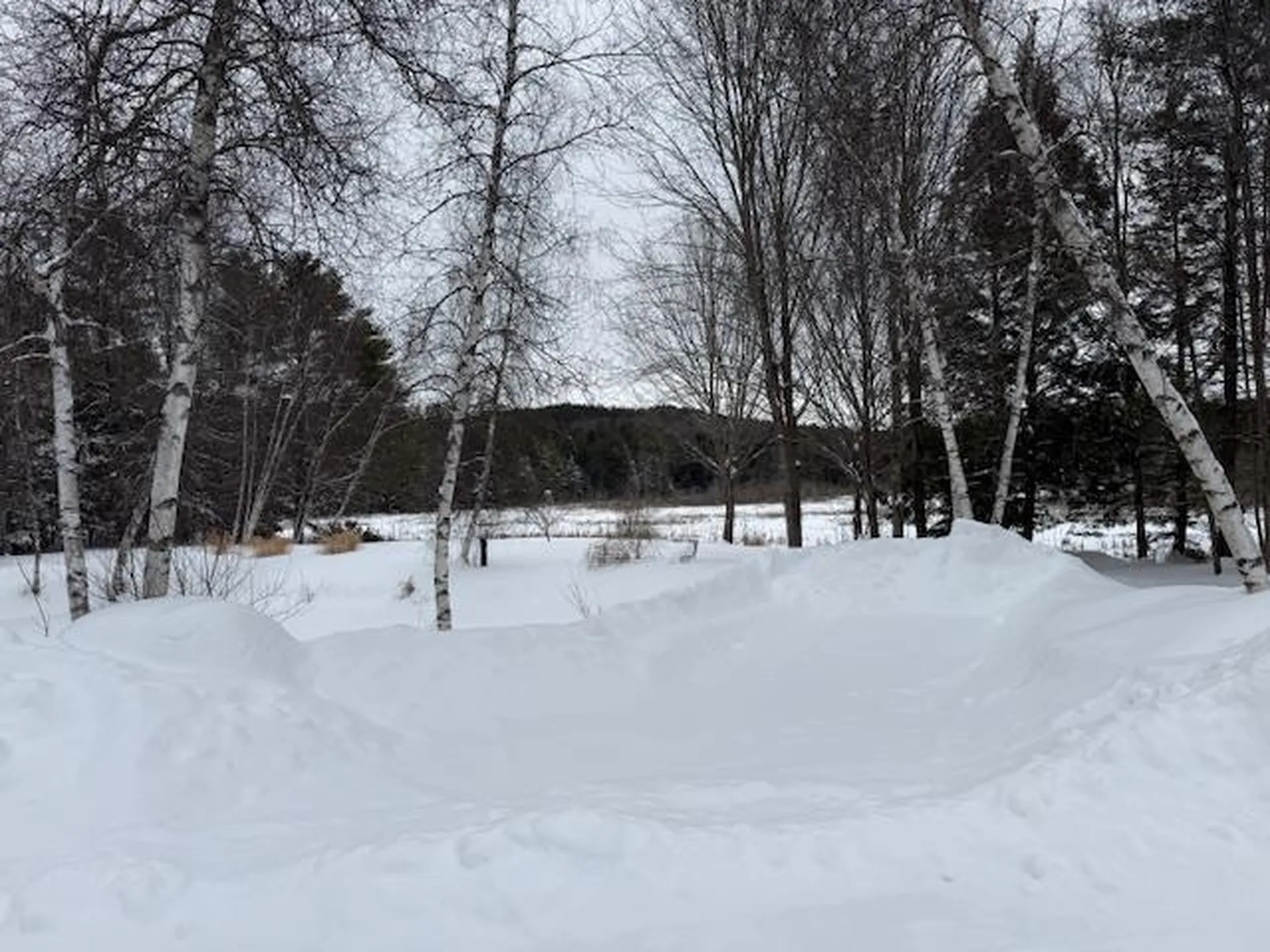 15 Drake Road Sanbornton NH 03269