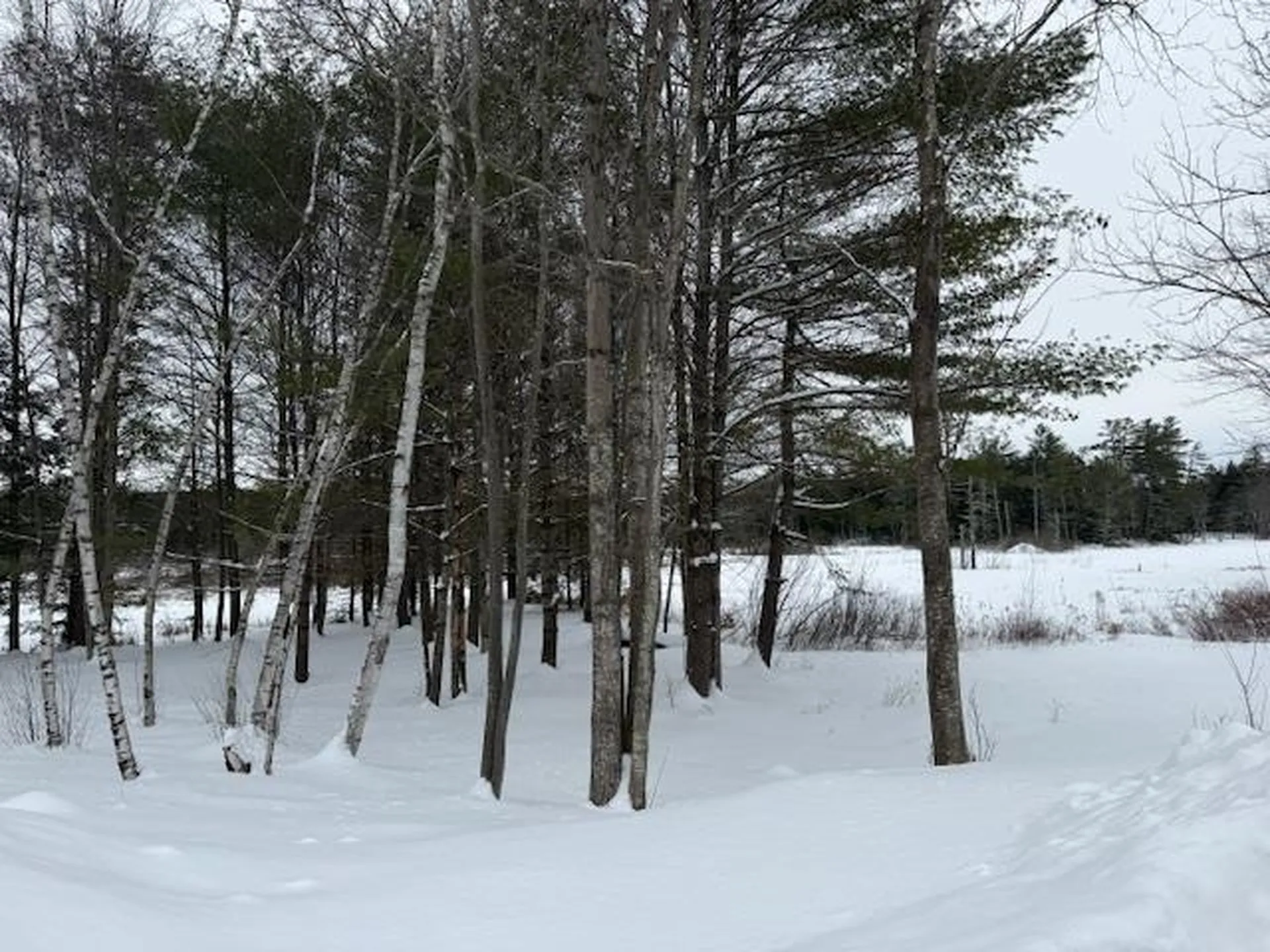 15 Drake Road Sanbornton NH 03269