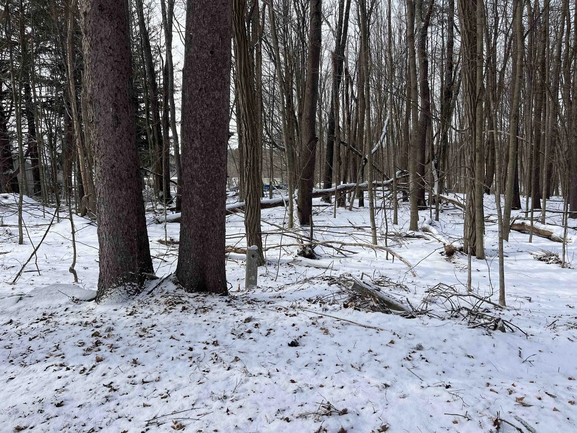 1068 Route 4a West Castleton VT 05735