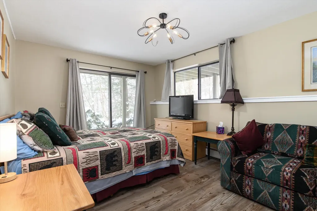 281 Okemo Trailside Extension Ludlow VT 05149