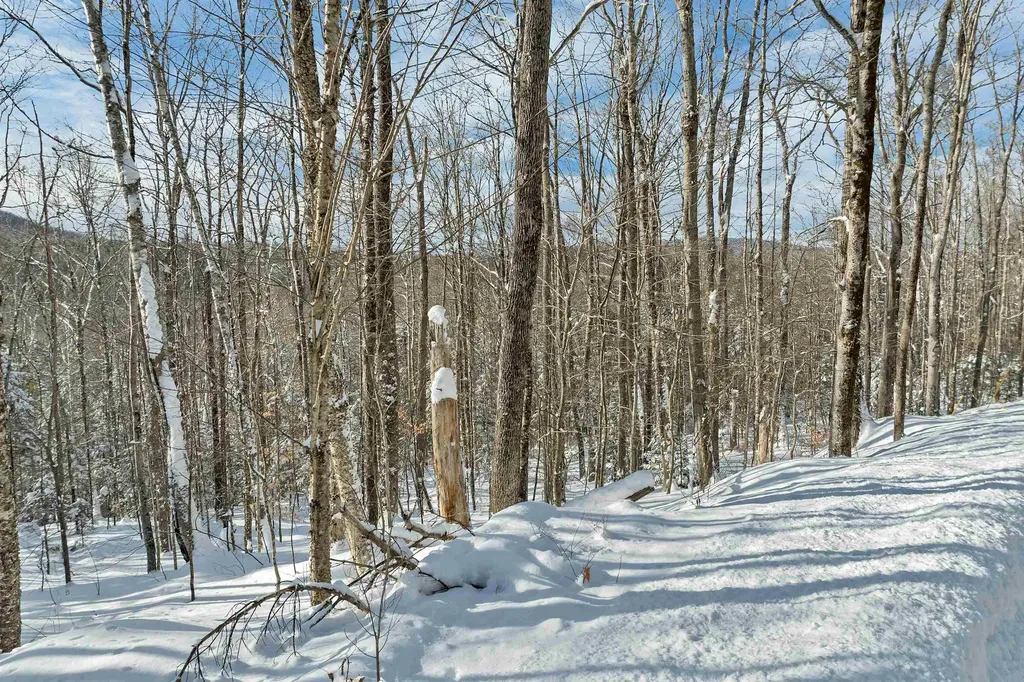 Breezy Point Road Warren NH 03279