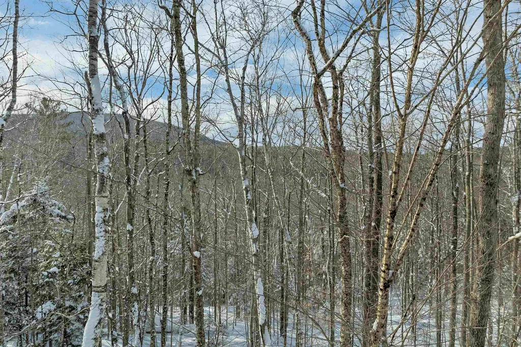 Breezy Point Road Warren NH 03279