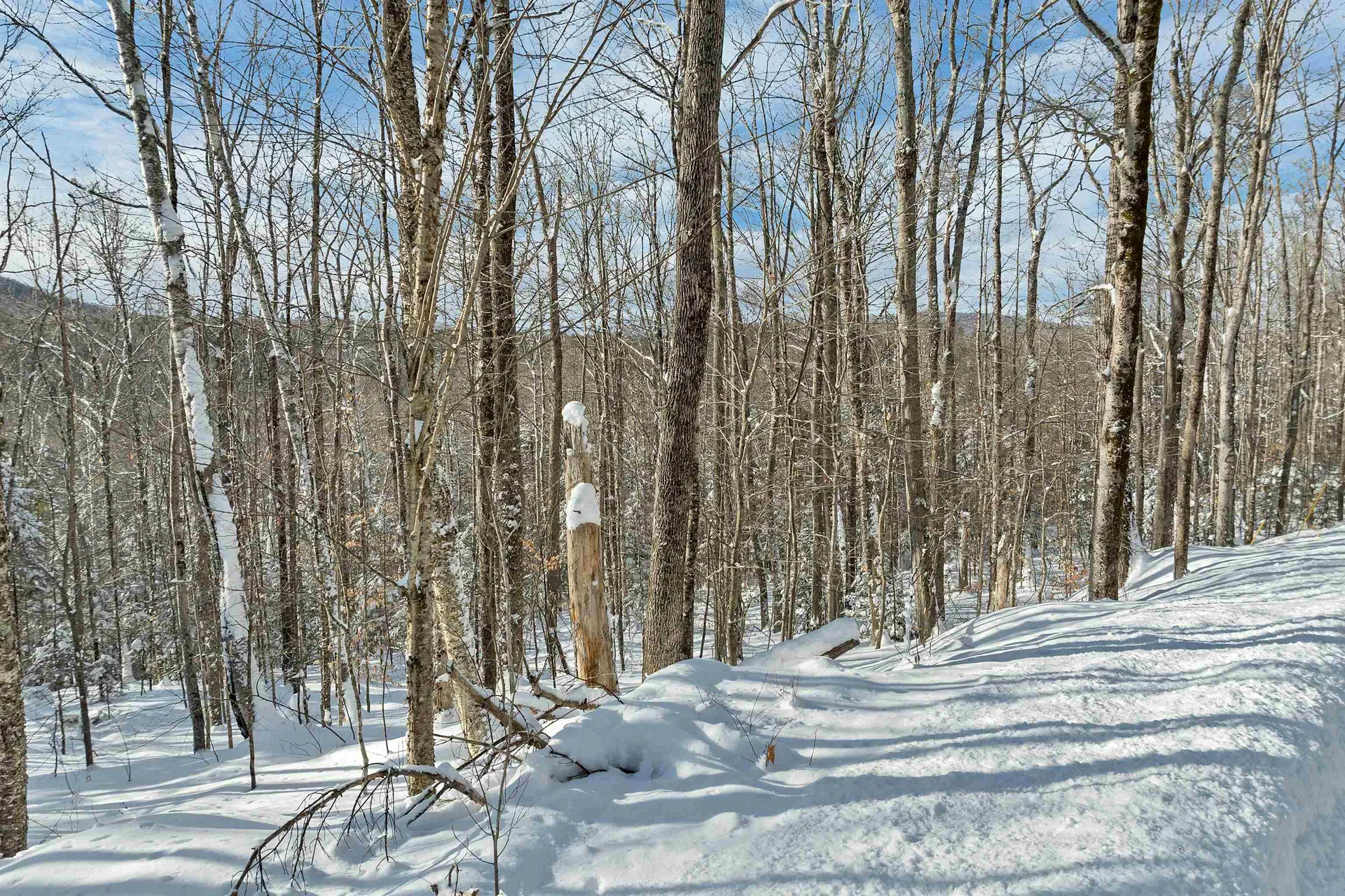 Breezy Point Road Warren NH 03279