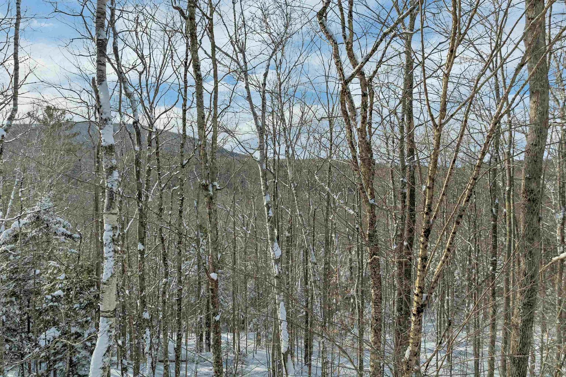 Breezy Point Road Warren NH 03279