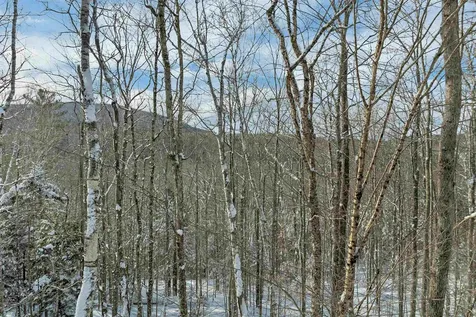 Breezy Point Road Warren NH 03279