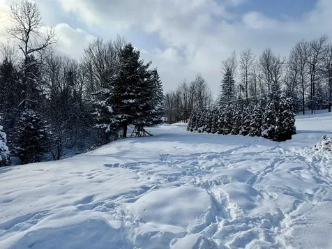 213 Kittredge Road Brownington VT 05860