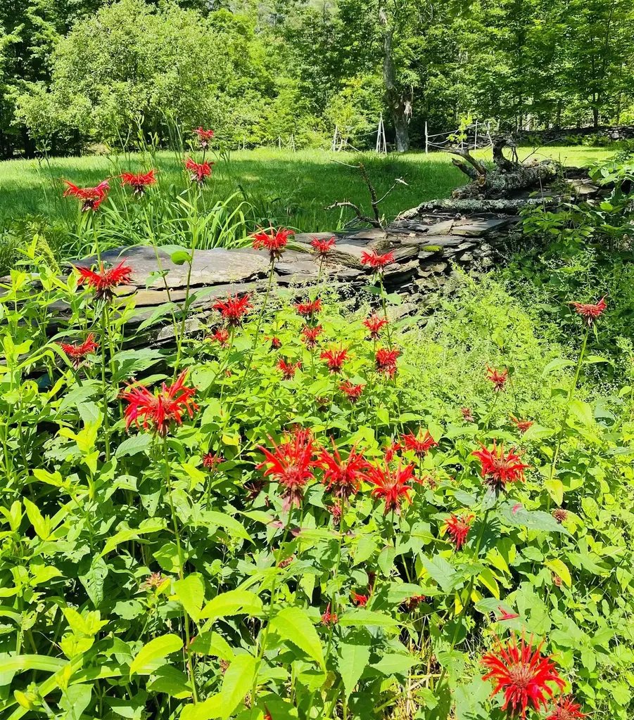 762 Apple Hill Road Calais VT 05648