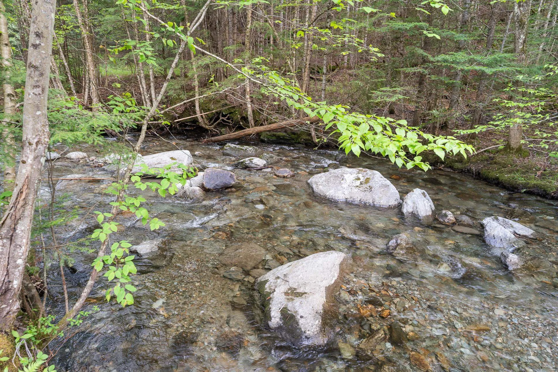 122 Wallace Road Northfield VT 05663