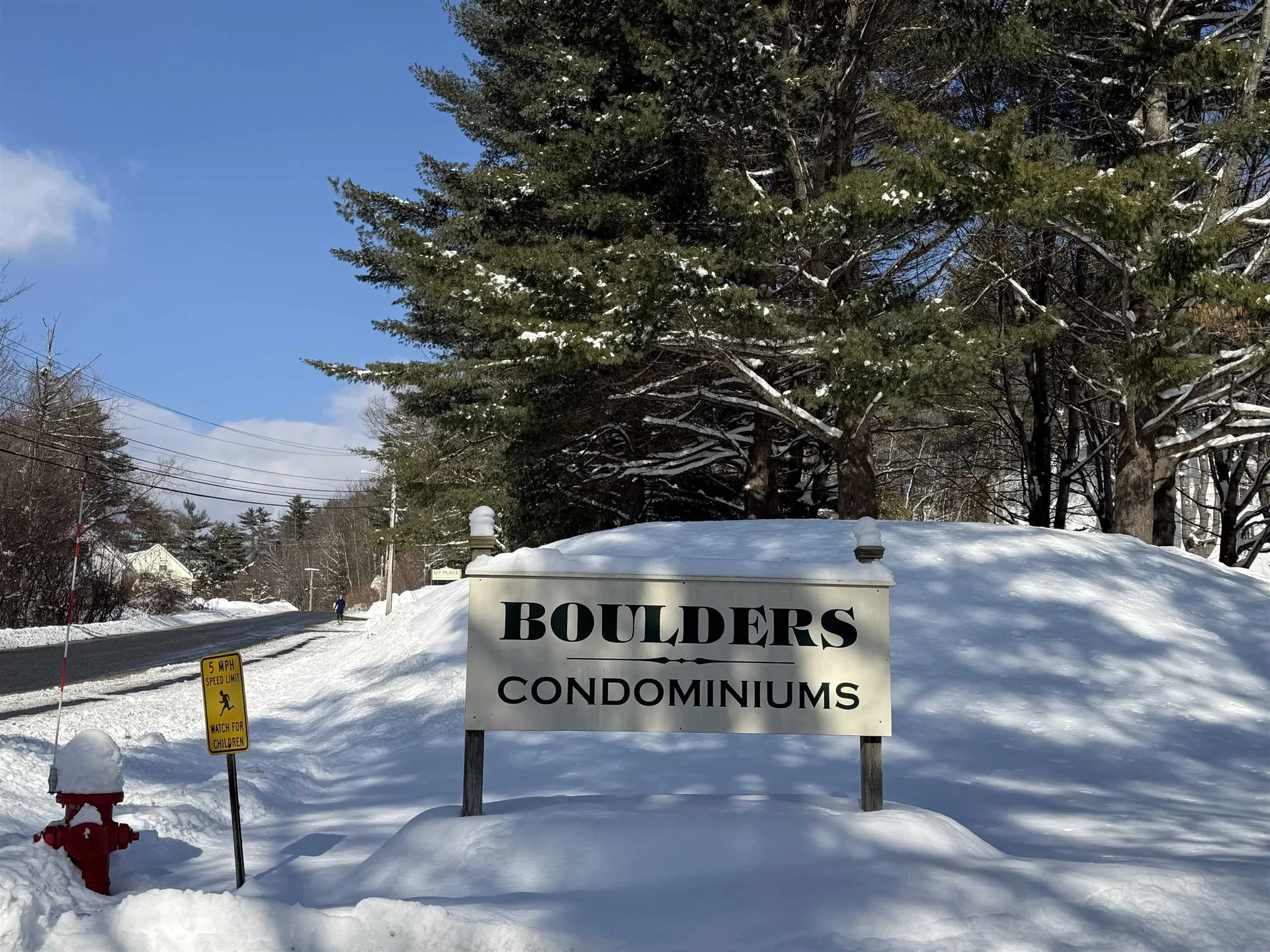 20 Wolf Road Lebanon NH 03766