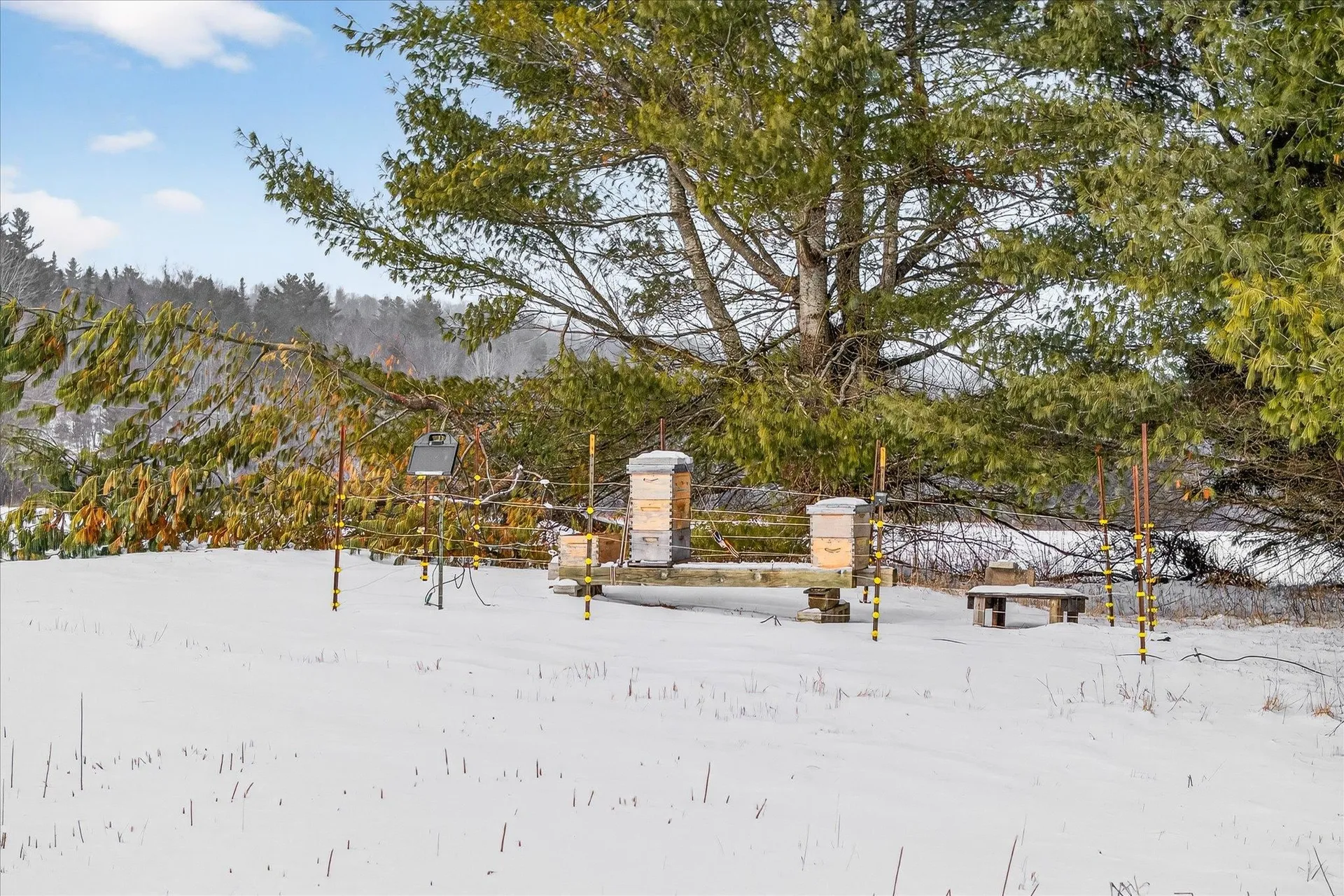 2721 Vermont Route 155 Mount Holly VT 05758