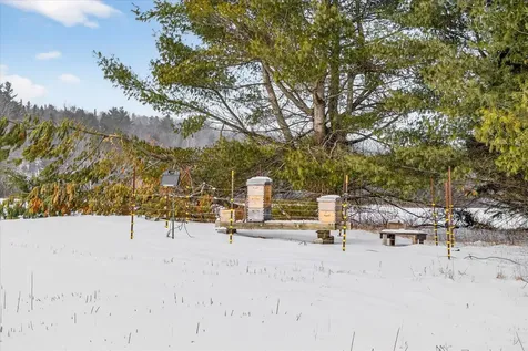 2721 Vermont Route 155 Mount Holly VT 05758