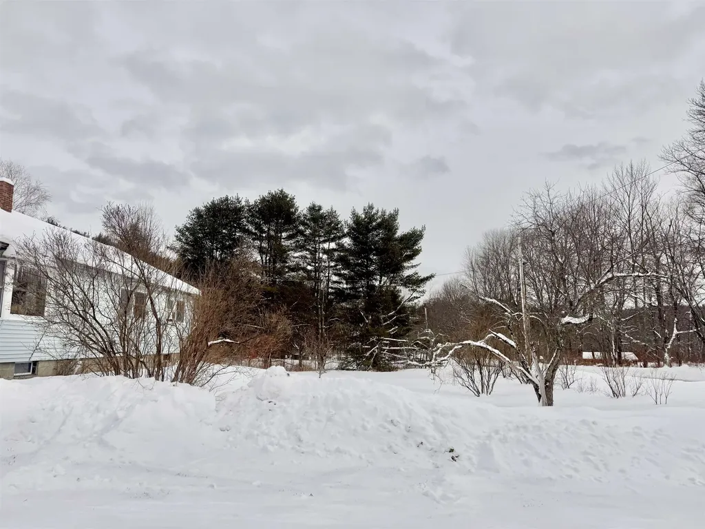 1876 Popple Dungeon Road Chester VT 05143