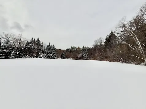 1876 Popple Dungeon Road Chester VT 05143