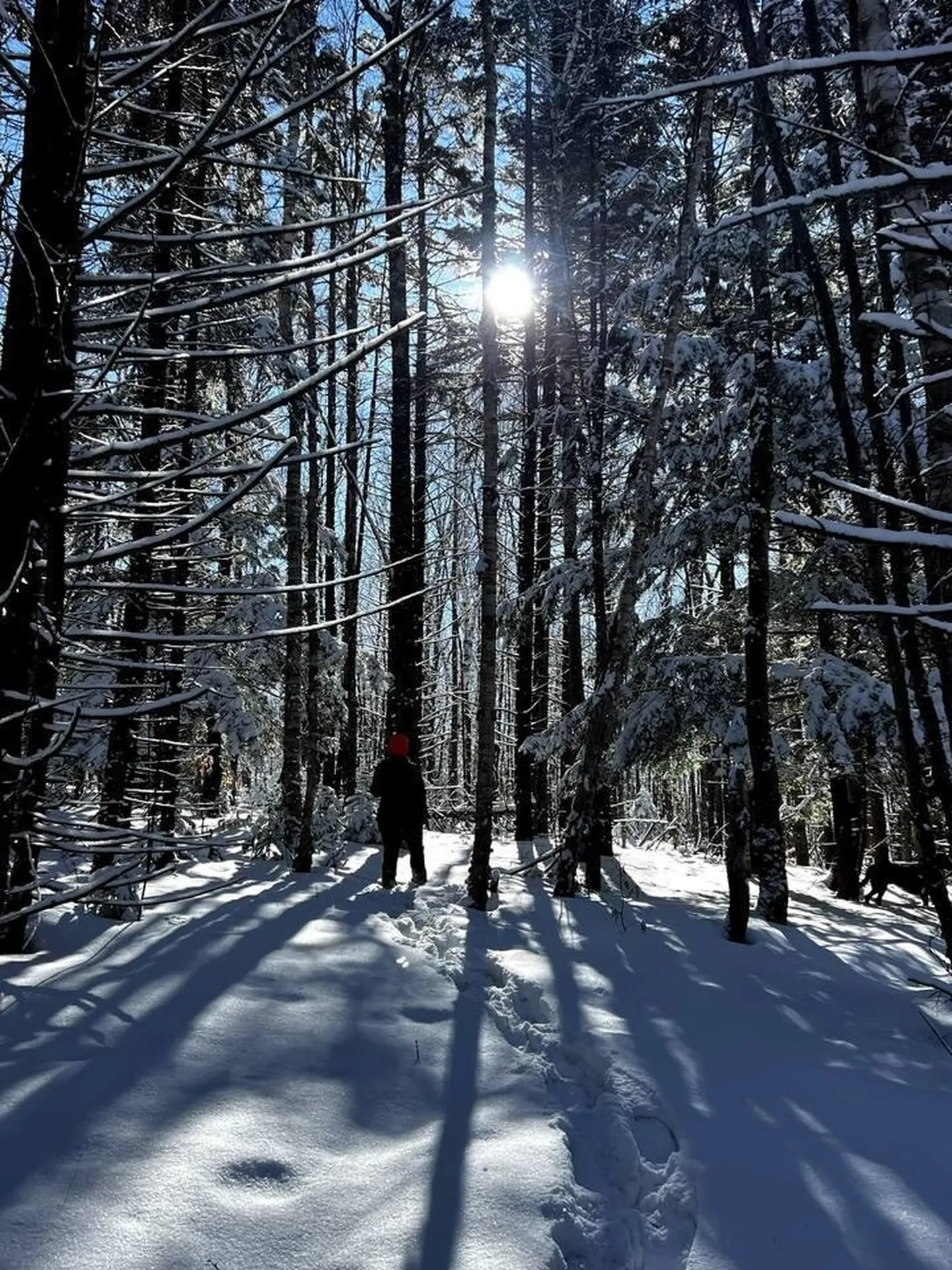 51 Rushford Valley Road Montgomery VT 05471