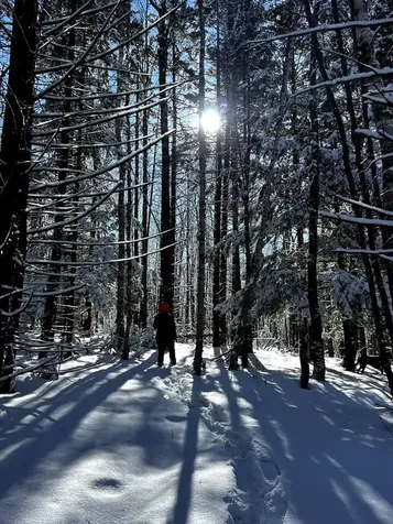 51 Rushford Valley Road Montgomery VT 05471