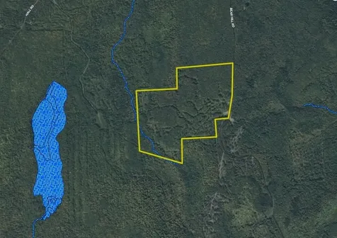 1070 Bear Hill Road Maidstone VT 05905