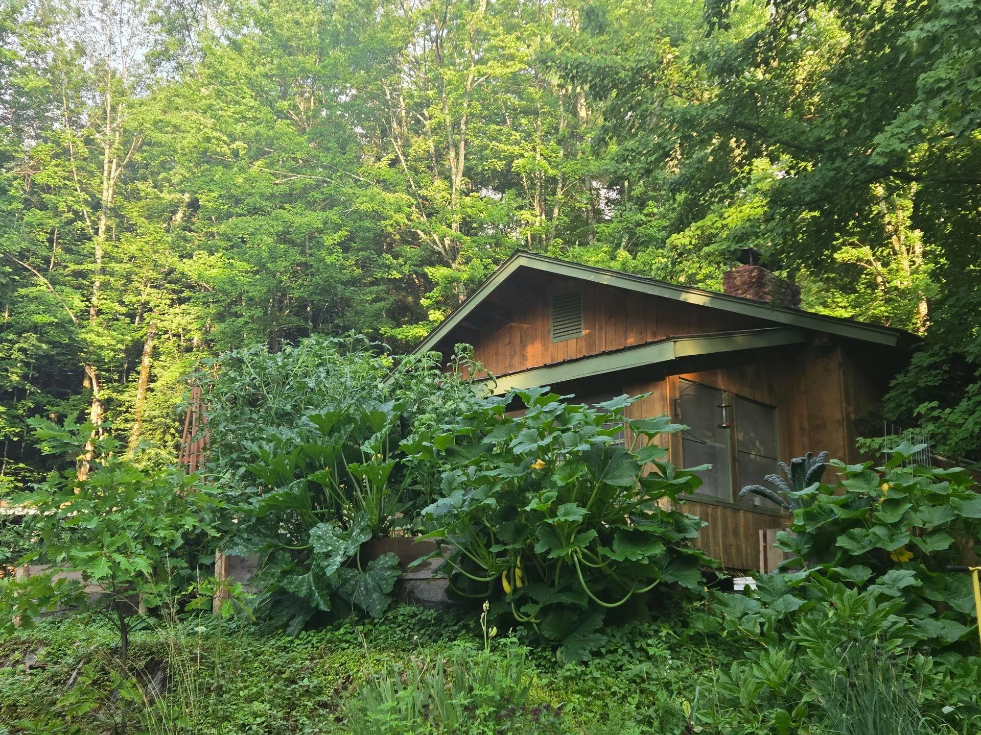 383 Jones Road Highgate VT 05457