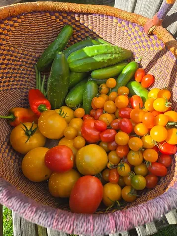 383 Jones Road Highgate VT 05457