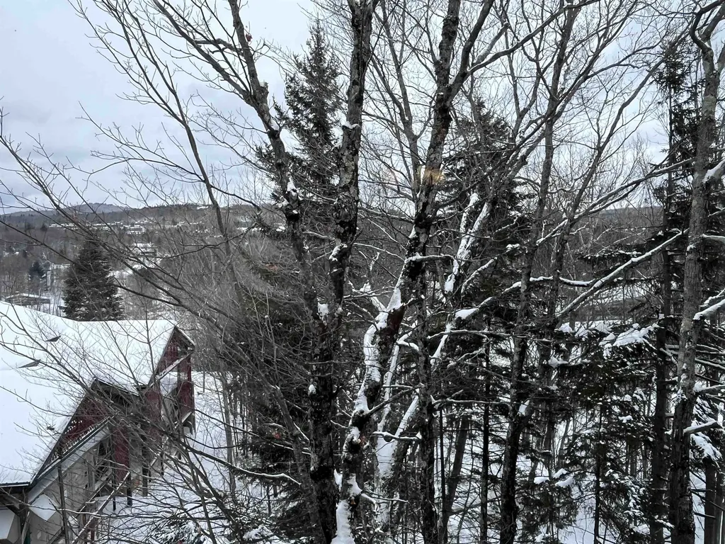 208/210 Qtr2 89 Grand Summit Way Dover VT 05356