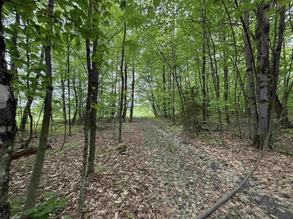 0 West Hill Road Stowe VT 05672
