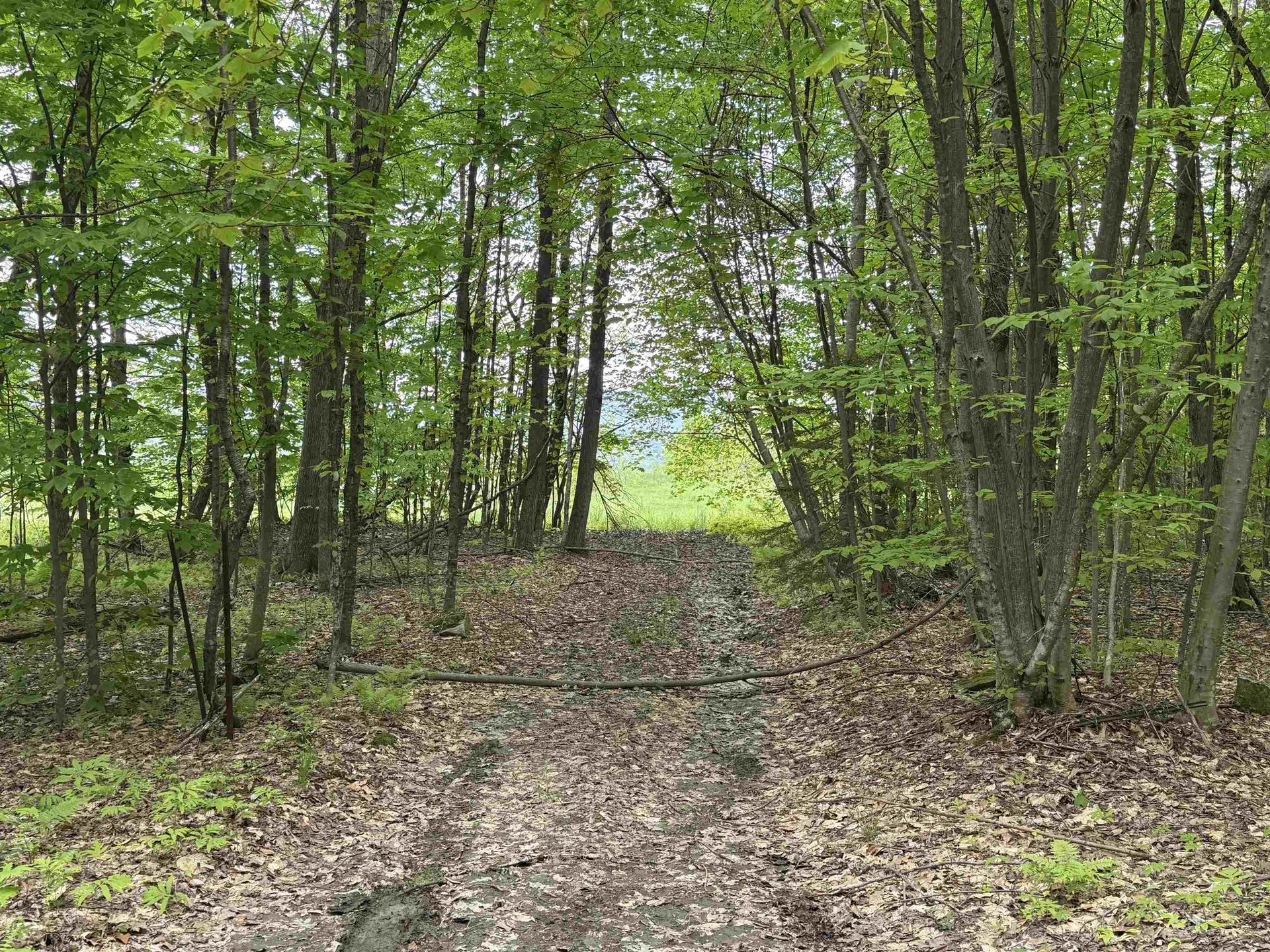 0 West Hill Road Stowe VT 05672