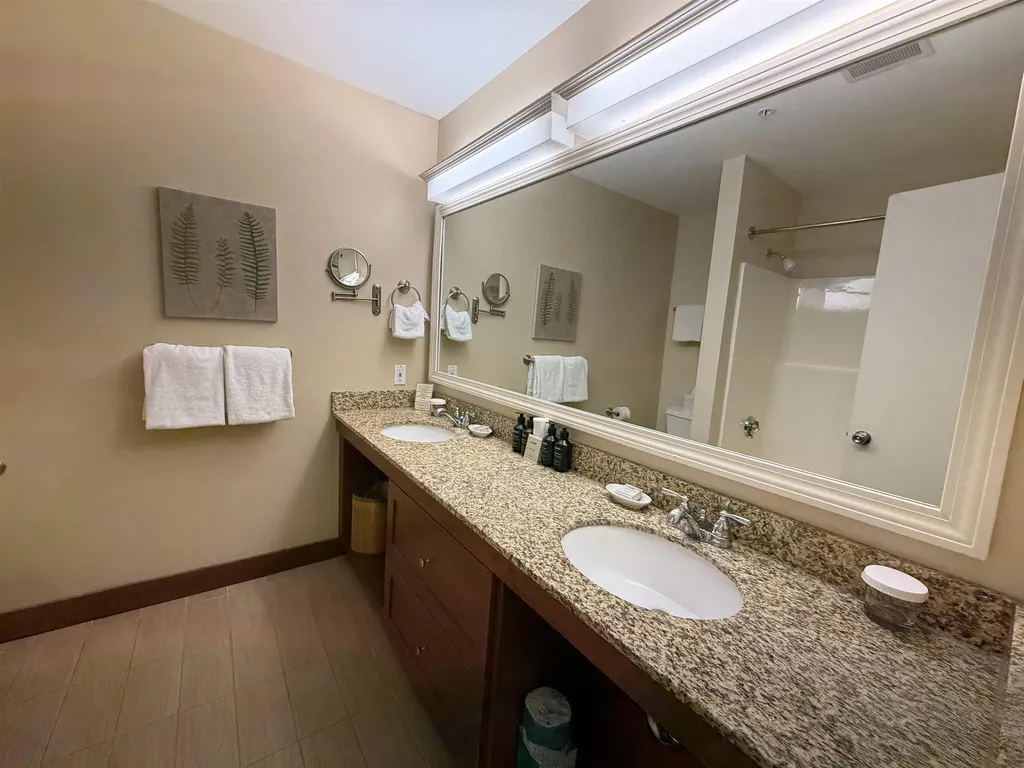 102, Qtr 4 Grand Summit Way Dover VT 05356