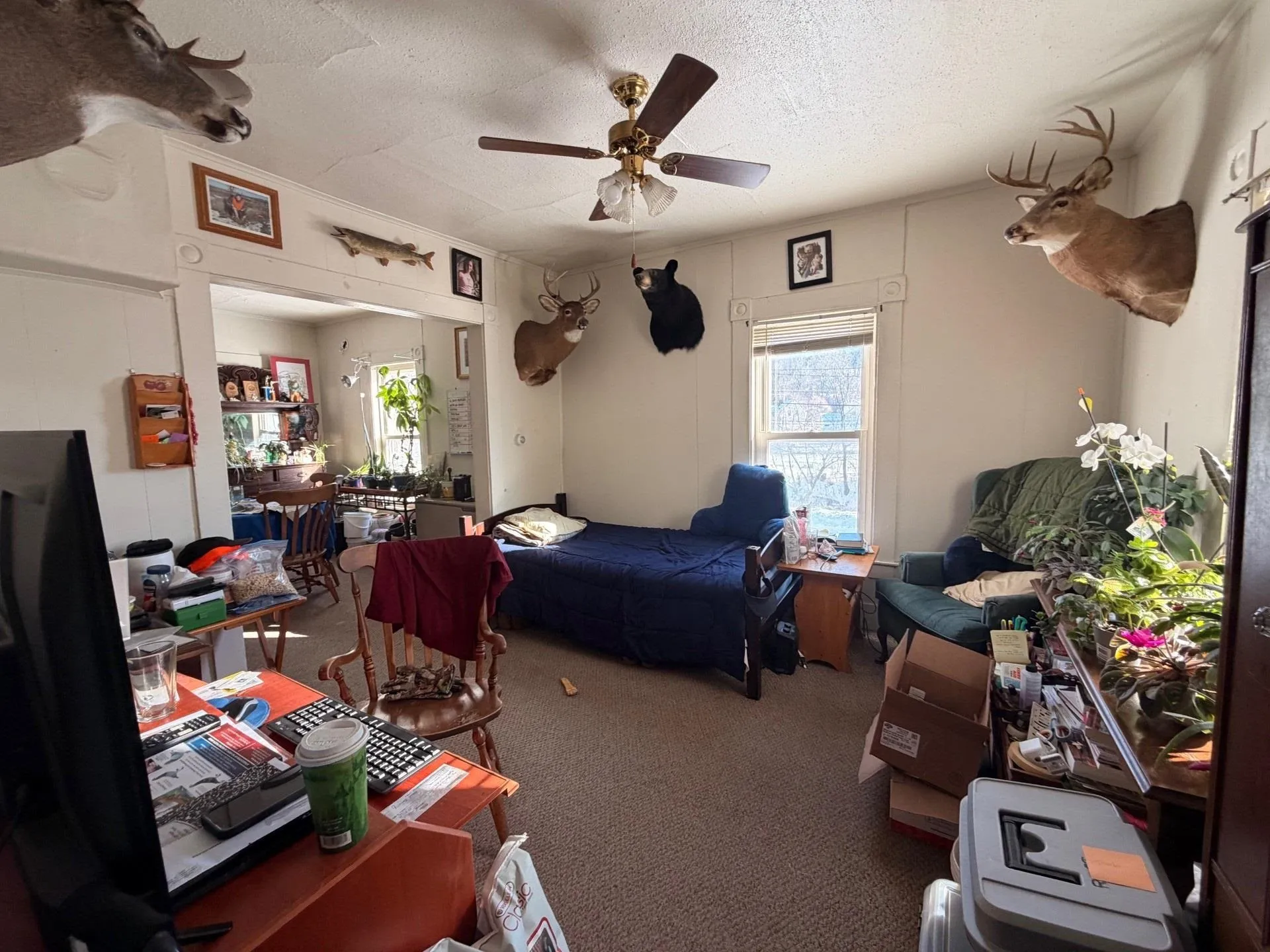 6 Willey Street Barre City VT 05641