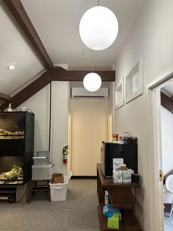 5138 Shelburne Road Shelburne VT 05482