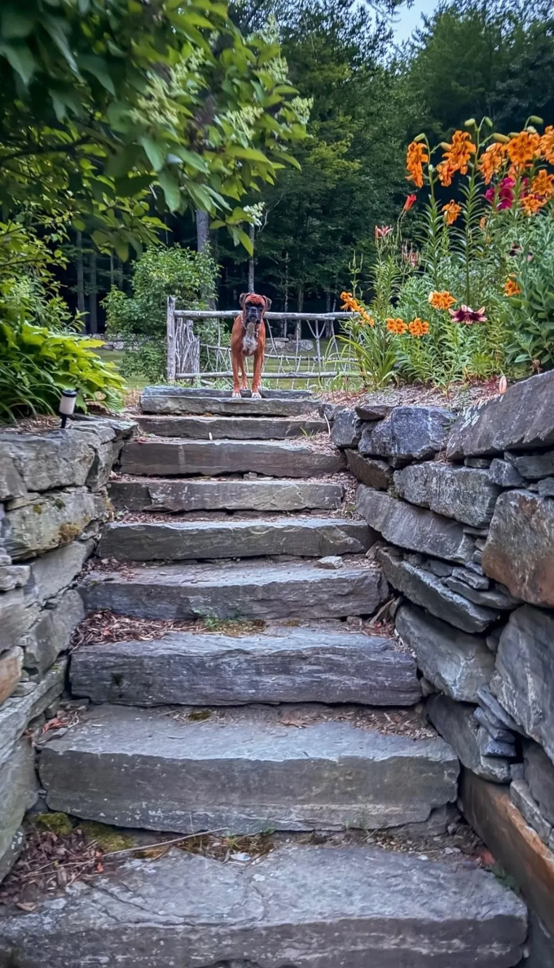 35 Upper Bartonsville Road Rockingham VT 05143