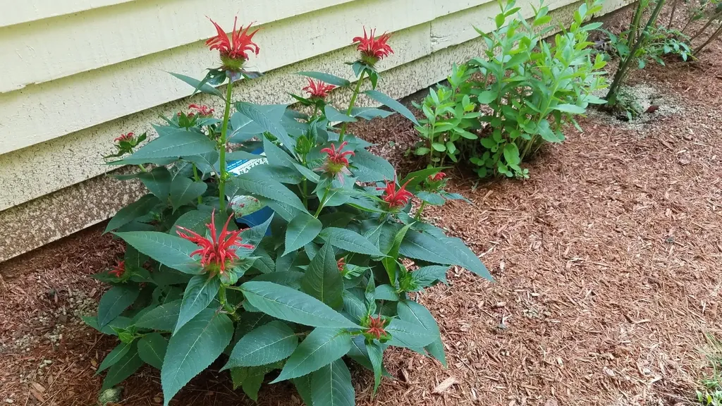 490 Meredith Center Road Laconia NH 03246