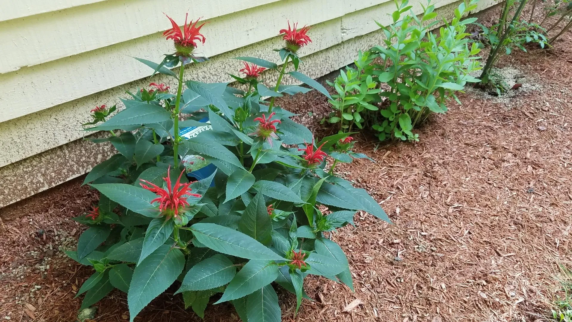 490 Meredith Center Road Laconia NH 03246