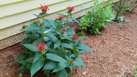 490 Meredith Center Road Laconia NH 03246