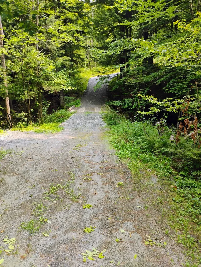 763 Center Road Cornish NH 03745