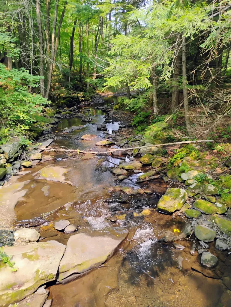 763 Center Road Cornish NH 03745