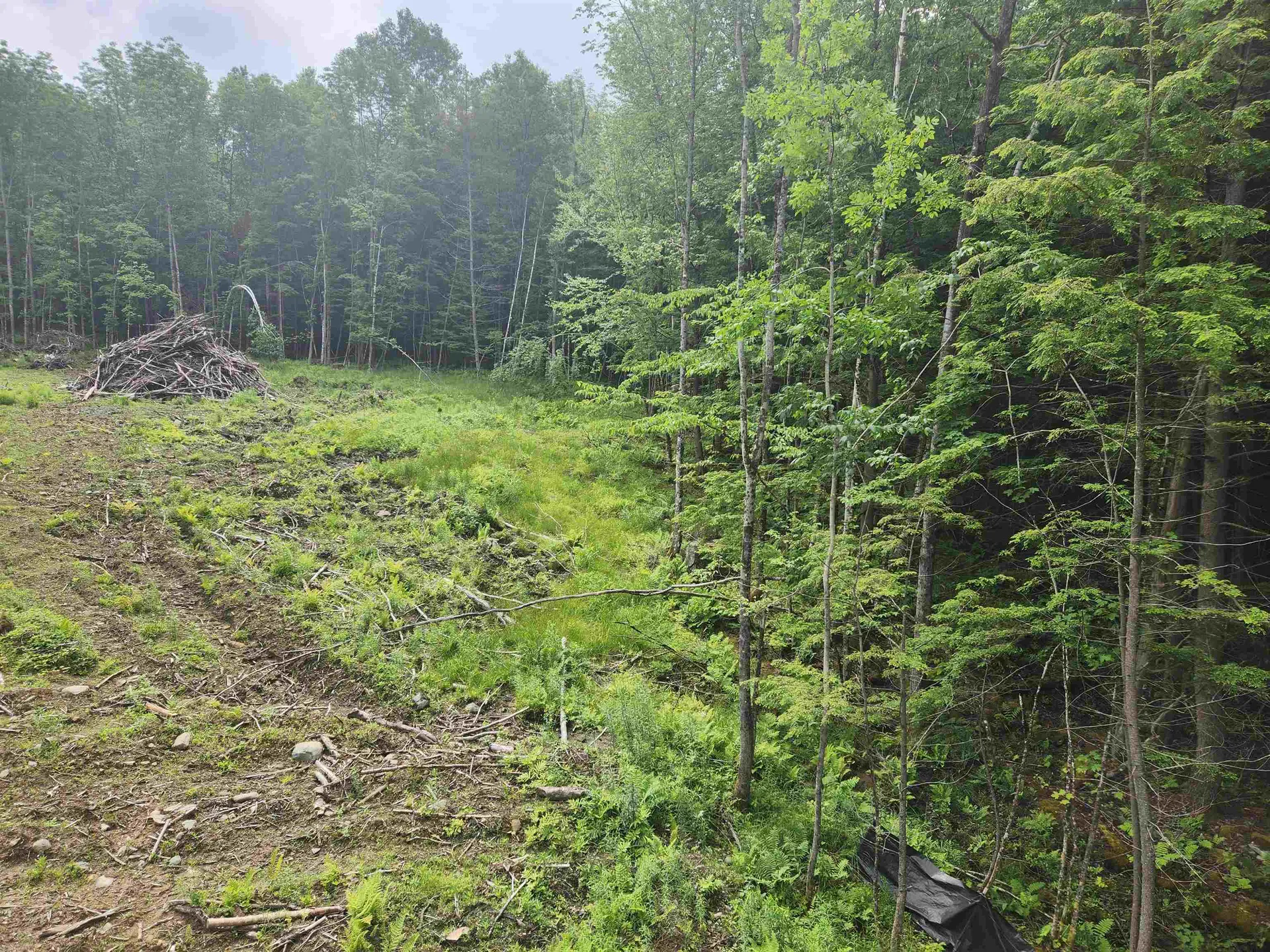 763 Center Road Cornish NH 03745