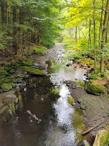 763 Center Road Cornish NH 03745