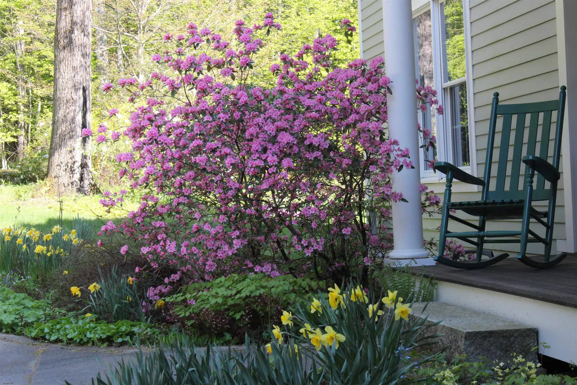 10 Dairy Lane Hanover NH 03755